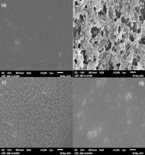 Methotrexate for Drug Repurposing as an Anti-Aggregatory Agent to Mercuric Treated α-Chymotrypsinogen-A