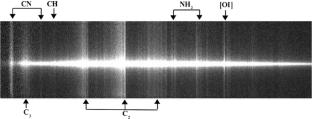 Long-term spectroscopic monitoring of comet 46P/Wirtanen