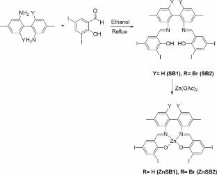 Synthesis, characterization and crystallographic determination of symmetrical Schiff bases and their Zn(II) metal complexes