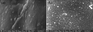 Pearl Millet Seed Surface Modification and Improved Germination by Non-thermal Plasma Discharge: Understanding the Role of Reactive Species