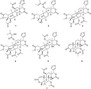 Alliaxylines A–E: five new mexicanolides from the stem barks of Dysoxylum alliaceum (Blume) Blume ex A.Juss