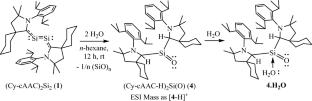 Activation of water at disiladicarbene: from the perspective of modification of silicon surface with organo-silicon compounds