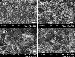 Co-production of biochar and carbon nanotube from sewage sludge in a two-stage process coupling pyrolysis and catalytic chemical vapor deposition