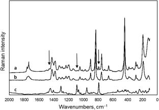 Inclusion of 1,8-octanediphosphonic acid in cucurbit[7]uril: a combined solid state and solution study