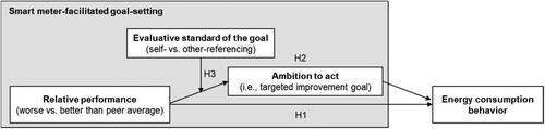 Sustainable energy consumption behaviour with smart meters: The role of relative performance and evaluative standards