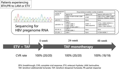 Switching from combination therapy with entecavir hydrate plus tenofovir alafenamide fumarate to tenofovir alafenamide fumarate monotherapy in patients with chronic hepatitis B based on nucleotide sequences of hepatitis B virus pregenome RNA