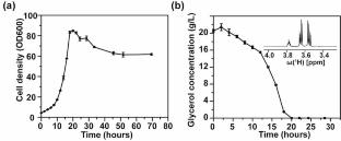 Fluorine-19 labeling of the tryptophan residues in the G protein-coupled receptor NK1R using the 5-fluoroindole precursor in Pichia pastoris expression