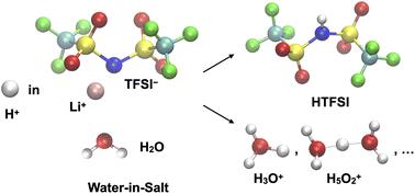 Speciation of the proton in water-in-salt electrolytes†