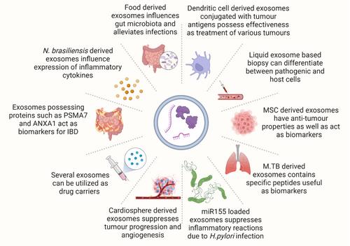 Unveiling the promise: Exosomes as game-changers in anti-infective therapy