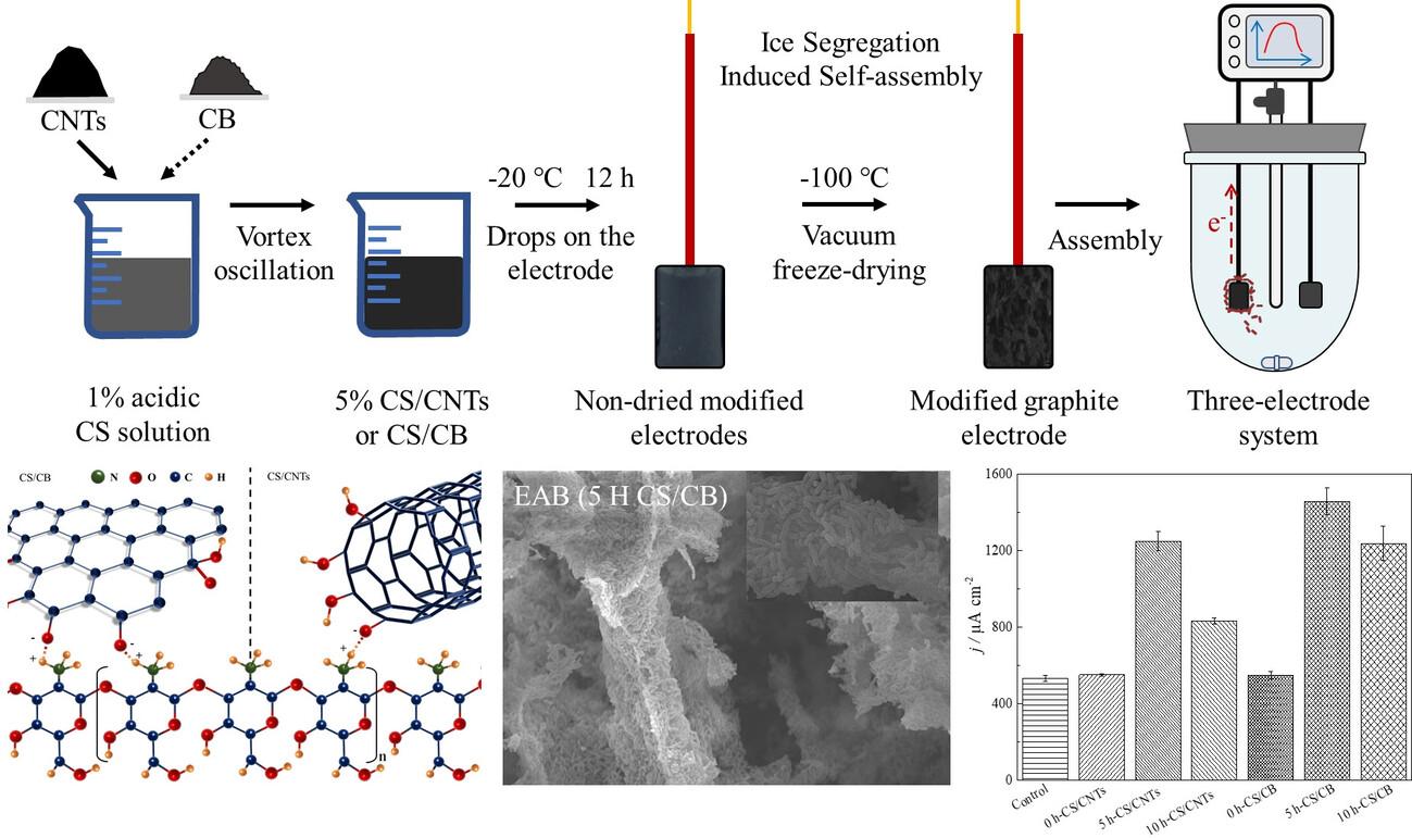 A novel and utilized electrode with boosted biofilm formation and current generation in microbial fuel cells based on chitosan/carbon composite