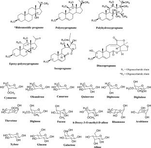 Asclepiadoideae subfamily (Apocynaceae): ethnopharmacology, biological activities and chemophenetics based on pregnane glycosides