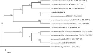 Fermentation Optimization and In-Vitro Antioxidant Activity of Exopolysaccharides Produced by Leuconostoc suionicum LSBM1 Using Sugar Beet Molasses