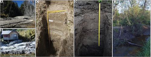 Hydrologic remobilisation of tephra-fall deposits: A sedimentological analysis throughout fluvio-lacustrine systems of North-West Patagonia