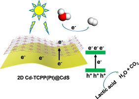 Boosting visible-light-driven hydrogen evolution through Pt site anchored 2D/2D heterostructure catalyst: Cd-TCPP(Pt)@CdS