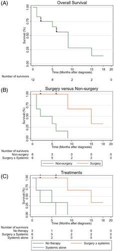 Clinical characteristics, imaging features, and outcomes of primary hepatic angiosarcoma: A single-center study and literature review