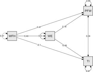 The impacts of work-from-home goal alignment on employee well-being and turnover intentions: the mediating role of work engagement