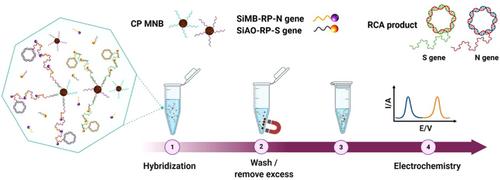 Electrochemical sensing strategies for on-site testing of pathogenic nucleic acids