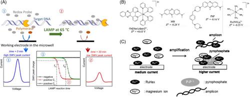 Electrochemical sensing strategies for on-site testing of pathogenic nucleic acids