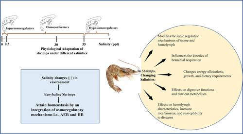 Adaptation of cultured decapod crustaceans to changing salinities: Physiological responses, molecular mechanisms and disease implications