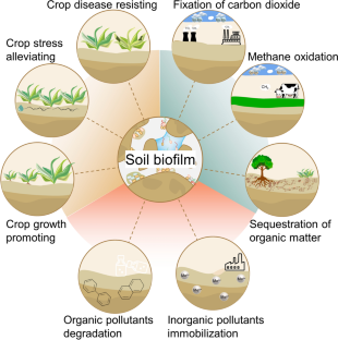 Characterization and environmental applications of soil biofilms: a review