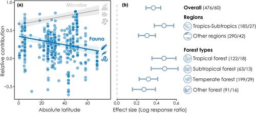 Global contribution of invertebrates to forest litter decomposition