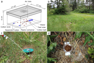 New lethal liquid bait for control of pest ants