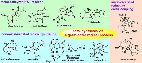 Total Synthesis with Gram-Scale Radical Process: An Inspiration for Pharmaceutical Industry