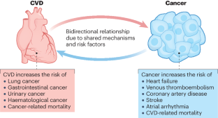 Cardiovascular disease and cancer: shared risk factors and mechanisms