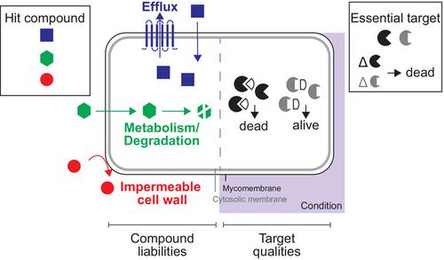 Weak links: Advancing target-based drug discovery by identifying the most vulnerable targets