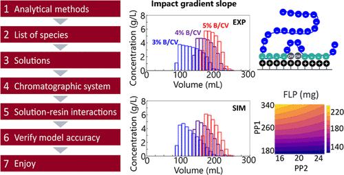 Oligonucleotide Purification by Ion Exchange Chromatography: A Step-by-Step Guide to Process Understanding, Modeling, and Simulation