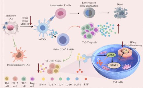 Autoantigenic Peptide and Immunomodulator Codelivery System for Rheumatoid Arthritis Treatment by Reestablishing Immune Tolerance