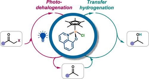 Double Catalytic Activity Unveiled: Synthesis, Characterization, and Catalytic Applications of Iridium Complexes in Transfer Hydrogenation and Photomediated Transformations