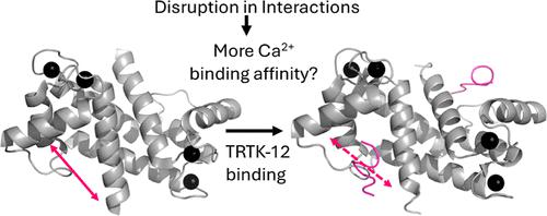 Deciphering S100B Allosteric Signaling: The Role of a Peptide Target, TRTK-12, as an Ensemble Modulator