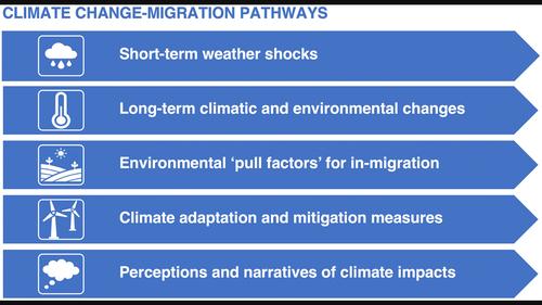 Climate change and migration: A review and new framework for analysis