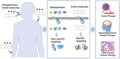 All Roads Lead to Rome: Comparing Nanoparticle- and Small Molecule-Driven Cell Autophagy