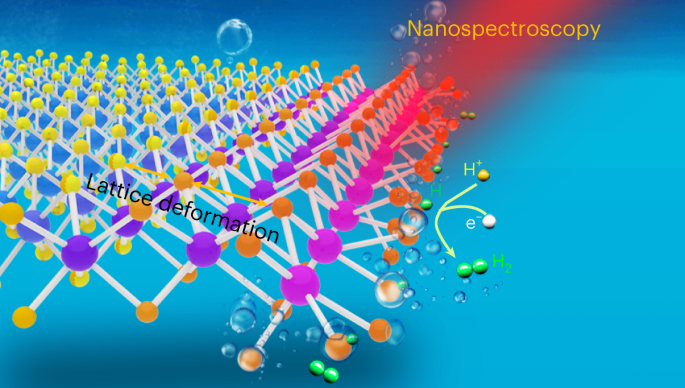 Visualizing the structural evolution of individual active sites in MoS2 during electrocatalytic hydrogen evolution reaction