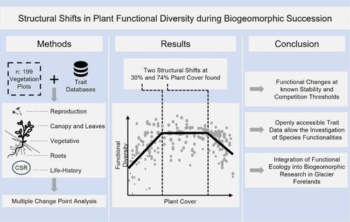 Structural shifts in plant functional diversity during biogeomorphic succession: Moving beyond taxonomic investigations in an alpine glacier foreland