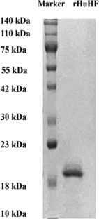 A Novel Approach for Delivery of Ergosterol Within Ferritin Cage: Stability, Slow-Release Property, and Cholesterol-Lowering Effect After Simulated Gastrointestinal Digestion