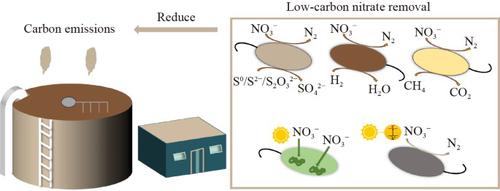 Research progress and prospect of low-carbon biological technology for nitrate removal in wastewater treatment