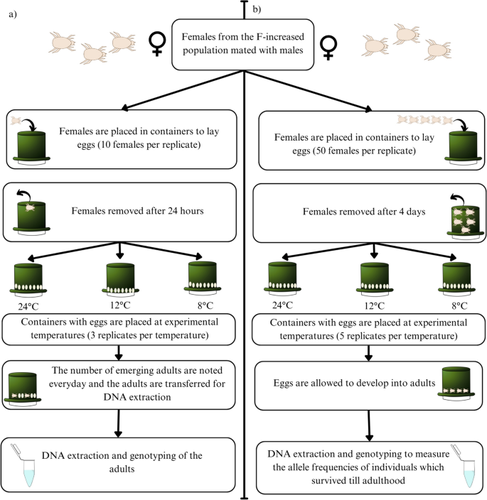 6Pgdh polymorphism in wild bulb mite populations: prevalence, environmental correlates and life history trade-offs