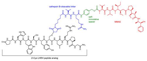 Cytotoxic activity and cell specificity of a novel LHRH peptide drug conjugate, D-Cys6-LHRH vedotin, against ovarian cancer cell lines