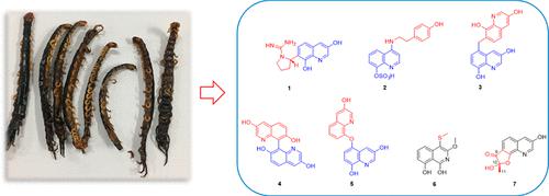 Structurally Diverse Alkaloids with Anti-Renal-Fibrosis Activity from the Centipede Scolopendra subspinipes mutilans