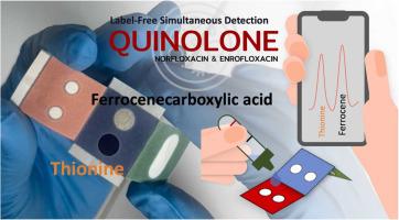 Label-free simultaneous detection of quinolone antibiotic residues using an origami paper–based electrochemical immunosensor