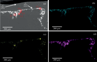 Accumulation and Localization of Metals in Lichen Thallus Under Conditions of Dust Pollution During Open Mining of Boxite Deposits