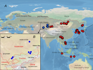 Between the east and the west: genetic uniqueness of the Central-Asian wild boar (Sus scrofa) on the basis of maternal and paternal markers