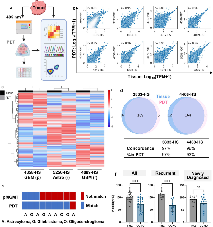 Integration of 3D bioprinting and multi-algorithm machine learning identified glioma susceptibilities and microenvironment characteristics