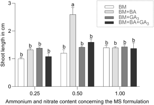 In vitro plantlet production of Ilex paraguariensis adult plants using BIT bioreactors