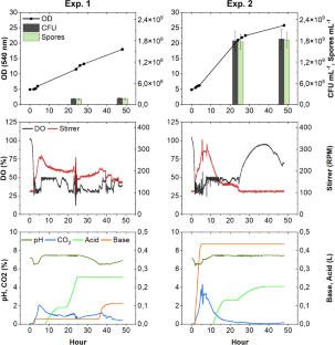 Pilot-scale production of Bacillus subtilis MSCL 897 spore biomass and antifungal secondary metabolites in a low-cost medium