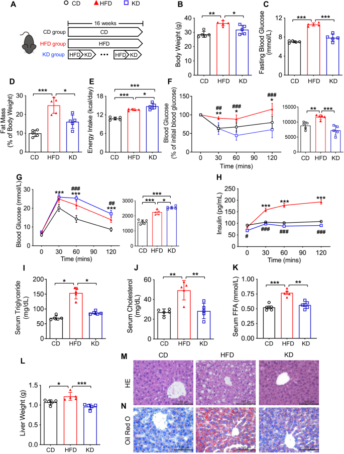 Role of liver FGF21-KLB signaling in ketogenic diet-induced amelioration of hepatic steatosis