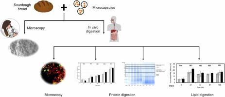 Semi-dynamic in vitro digestion of sourdough bread enriched with flaxseed oil coacervates